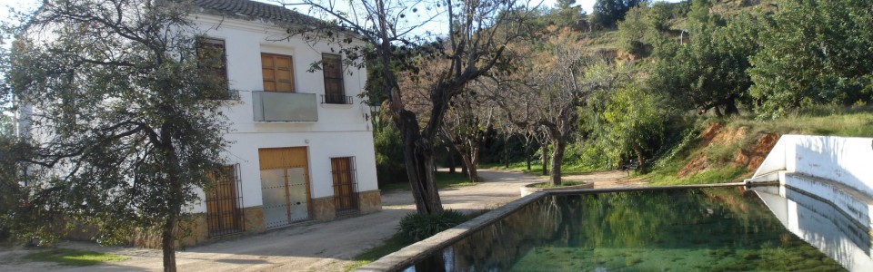 Una imagen del parque de La Violeta de Buñol.